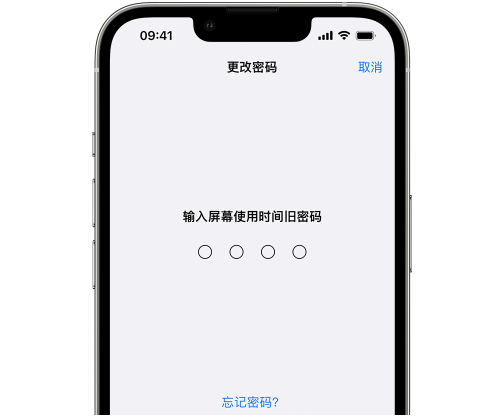 渔洋镇iPhone屏幕维修分享iPhone屏幕使用时间密码忘记了怎么办 