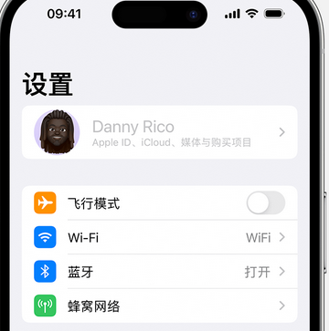 渔洋镇appleID维修服务iPhone设置中Apple ID显示为灰色无法使用 