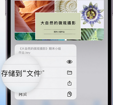 渔洋镇apple维修中心分享iPhone文件应用中存储和找到下载文件