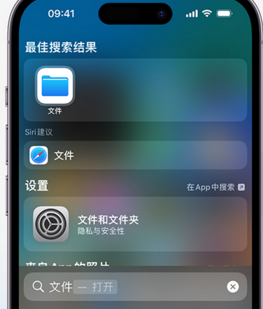 渔洋镇apple维修中心分享iPhone文件应用中存储和找到下载文件