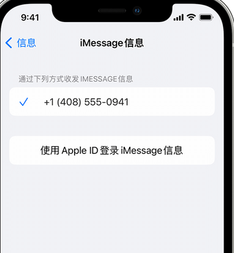 渔洋镇apple维修iPhone上无法正常发送iMessage信息