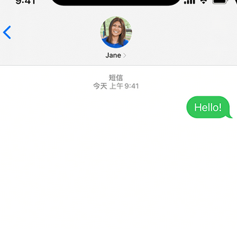 渔洋镇apple维修iPhone上无法正常发送iMessage信息