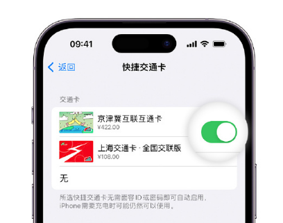 渔洋镇apple维修点分享iPhone上更换Apple Pay快捷交通卡手绘卡面 