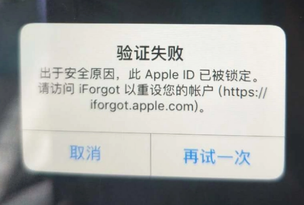 渔洋镇iPhone维修分享iPhone上正常登录或使用AppleID怎么办 