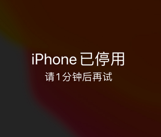 渔洋镇苹果手机维修分享:iPhone 显示“不可用”或“已停用”怎么办？还能保留数据吗？ 