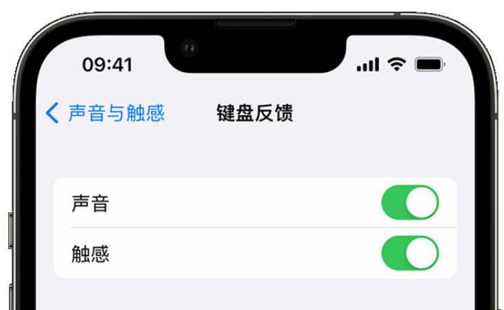 渔洋镇苹果手机维修分享iPhone 14触感键盘使用方法 