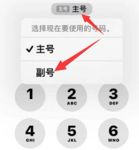 渔洋镇苹果14维修店分享iPhone 14 Pro Max使用副卡打电话的方法 