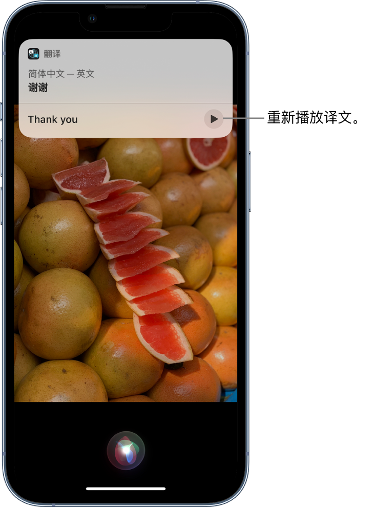 渔洋镇苹果14维修分享 iPhone 14 机型中使用 Siri：了解 Siri 能帮你做什么 