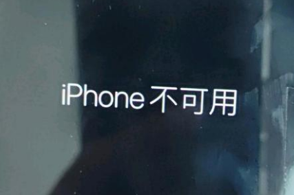 渔洋镇苹果服务网点分享锁屏界面显示“iPhone 不可用”如何解决 