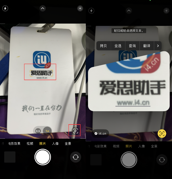 渔洋镇苹果手机维修分享升级iOS 16后如何通过相机翻译文本 