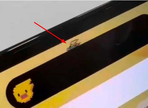 渔洋镇苹果14维修分享iPhone 14 Pro Max灵动岛怎么养宠物 