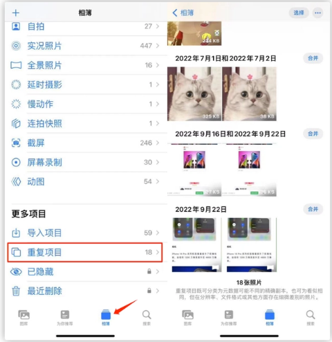 渔洋镇苹果手机维修分享iOS 16 中相册重复项目功能使用方法 