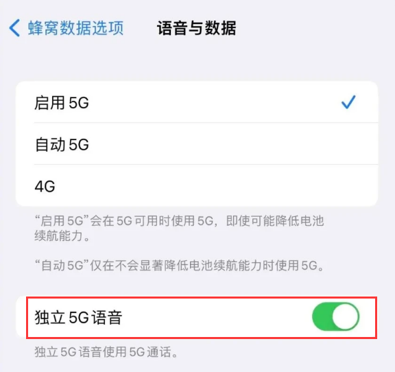 渔洋镇苹果14维修分享iPhone 14 Pro如何开启VoNR 