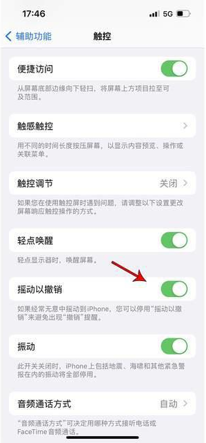 渔洋镇苹果手机维修分享iPhone手机如何设置摇一摇删除文字 