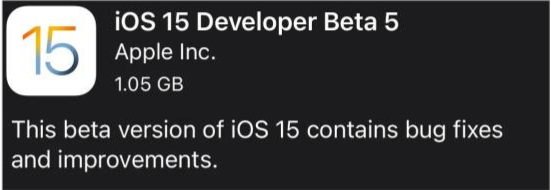 渔洋镇苹果手机维修分享如何升级到iOS15.0 beta5 