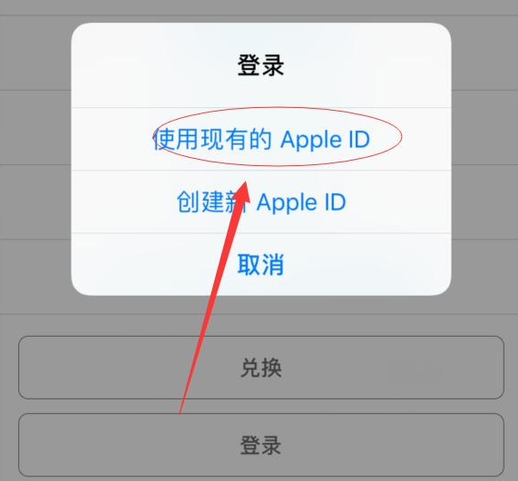 渔洋镇苹果手机维修分享两台iPhone设备可以同时登录一个Apple ID吗 