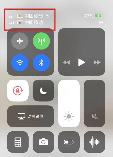 渔洋镇苹果手机维修分享为 iPhone 12 双卡设置标签 