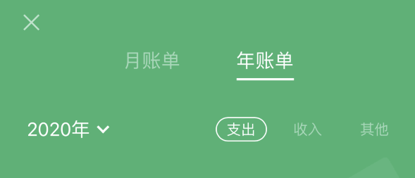 渔洋镇苹果手机维修分享如何在 iPhone 上查看支付宝和微信年支出账单 