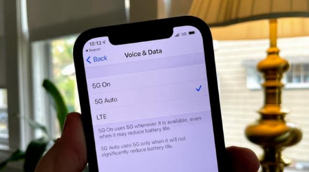 渔洋镇苹果手机维修分享iPhone 12如何打开或关闭5G网络 