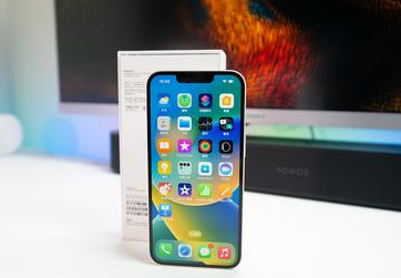 渔洋镇苹果维修点分享iPhone 14扩容容易忽略的暗病 