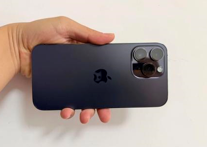 渔洋镇苹果维修点分享iPhone 14 Pro Max黑屏少见故障盘点 