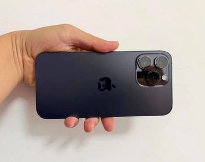 渔洋镇苹果维修点分享iPhone 14 Pro Max发烫多重诱因剖析 